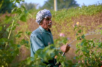 مرد خاص پروژه پالایشگاه آبادان:  ختمِ کلام؛ ما عاشق طبیعتیم