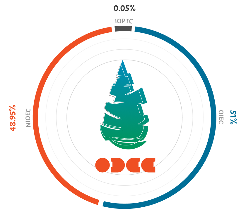ODCC Shareholding Structure